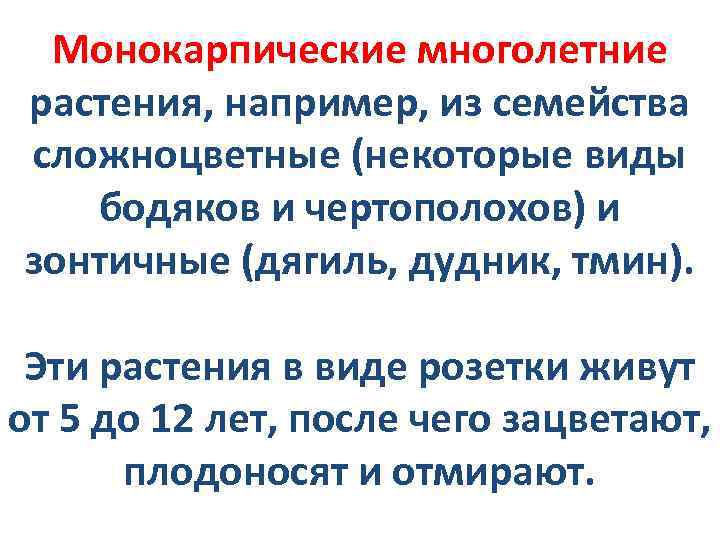 Монокарпические многолетние растения, например, из семейства сложноцветные (некоторые виды бодяков и чертополохов) и зонтичные