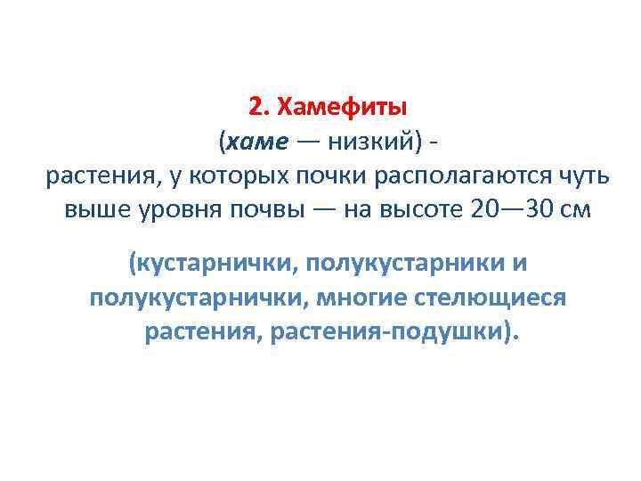 2. Хамефиты (хаме — низкий) растения, у которых почки располагаются чуть выше уровня почвы
