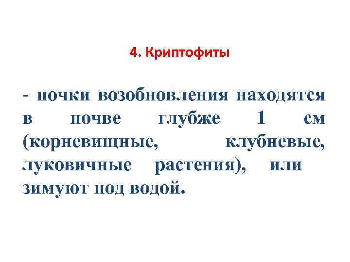4. Криптофиты - почки возобновления находятся в почве глубже 1 см (корневищные, клубневые, луковичные