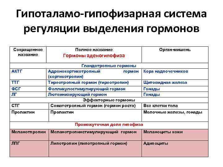 Гипоталамо-гипофизарная система регуляции выделения гормонов Сокращенное название АКТГ ТТГ ФСГ ЛГ СТГ Пролактин Полное