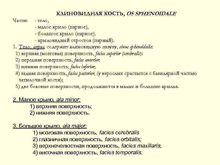 КЛИНОВИДНАЯ КОСТЬ, OS SPHENOIDALE Части: - тело, - малое крыло (парное), - большое крыло