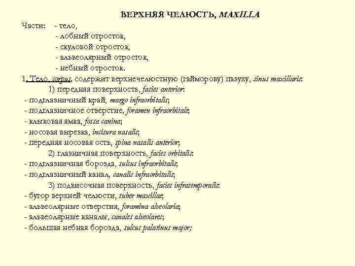 ВЕРХНЯЯ ЧЕЛЮСТЬ, MAXILLA Части: - тело, - лобный отросток, - скуловой отросток, - альвеолярный