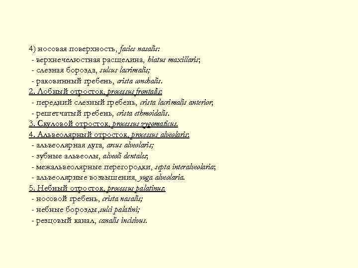 4) носовая поверхность, facies nasalis: - верхнечелюстная расщелина, hiatus maxillaris; - слезная борозда, sulcus