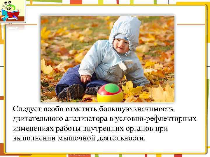 Следует особо отметить большую значимость двигательного анализатора в условно-рефлекторных изменениях работы внутренних органов при