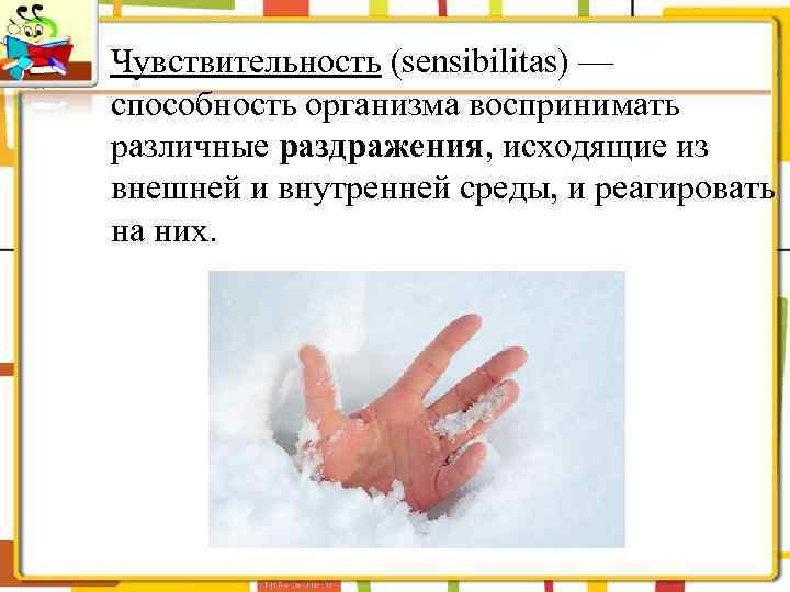 Чувствительность (sensibilitas) — способность организма воспринимать различные раздражения, исходящие из внешней и внутренней среды,