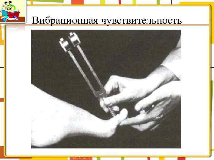 Вибрационная чувствительность 