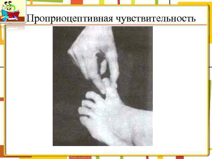 Проприоцептивная чувствительность 