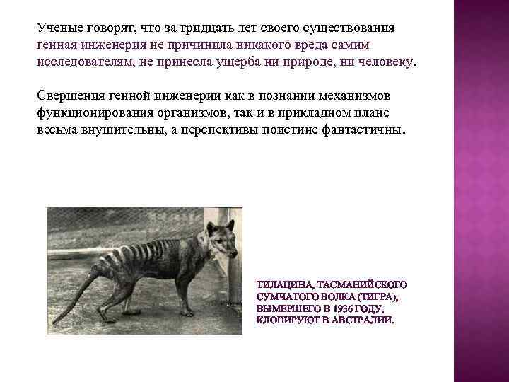 Ученые говорят, что за тридцать лет своего существования генная инженерия не причинила никакого вреда