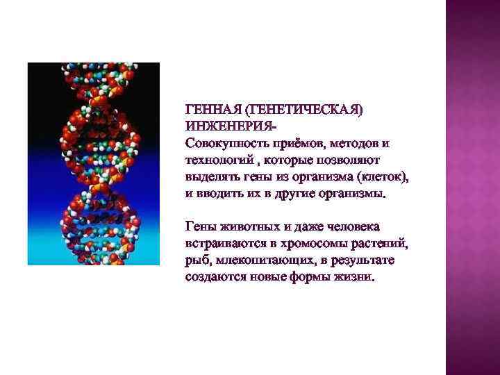 ГЕННАЯ (ГЕНЕТИЧЕСКАЯ) ИНЖЕНЕРИЯСовокупность приёмов, методов и технологий , которые позволяют выделять гены из организма