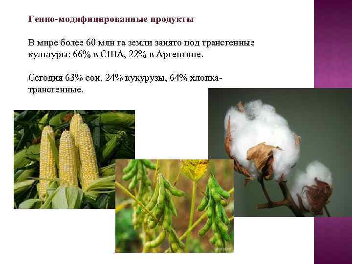 Генно-модифицированные продукты В мире более 60 млн га земли занято под трансгенные культуры: 66%