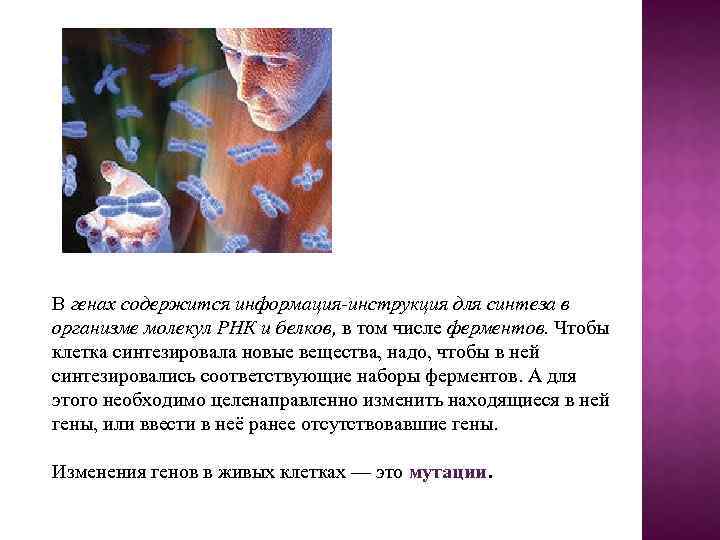 В генах содержится информация-инструкция для синтеза в организме молекул РНК и белков, в том