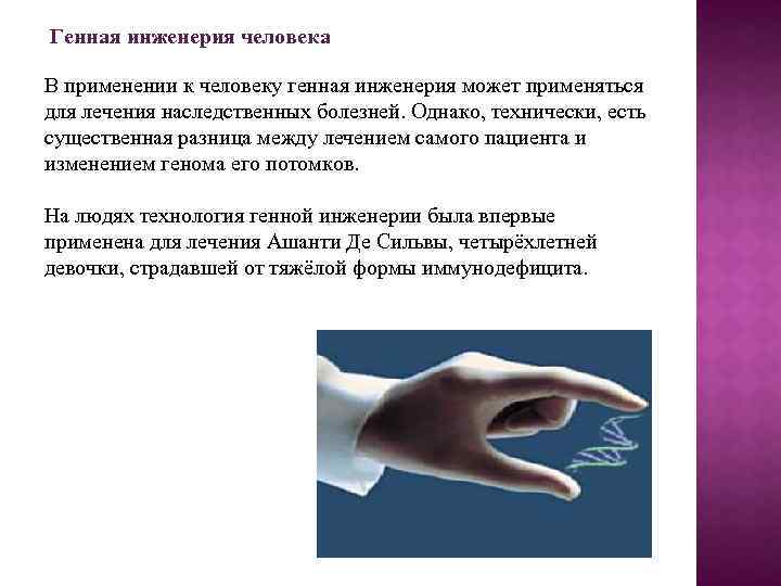 Генная инженерия человека В применении к человеку генная инженерия может применяться для лечения наследственных