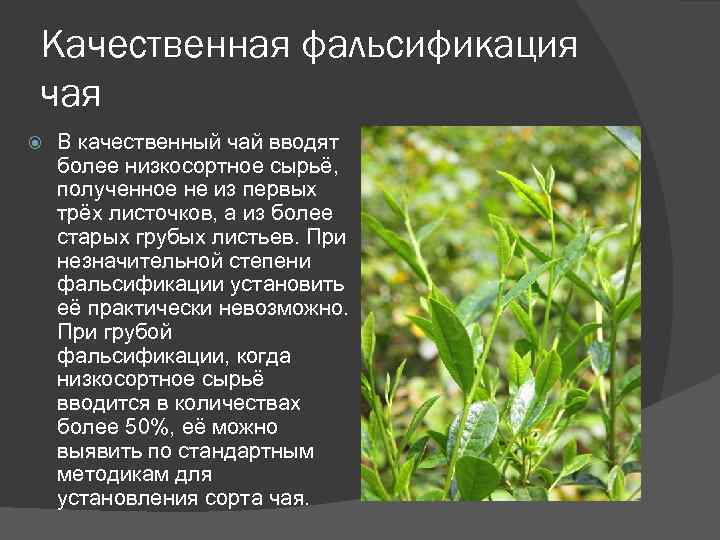 Качественная фальсификация чая В качественный чай вводят более низкосортное сырьё, полученное не из первых