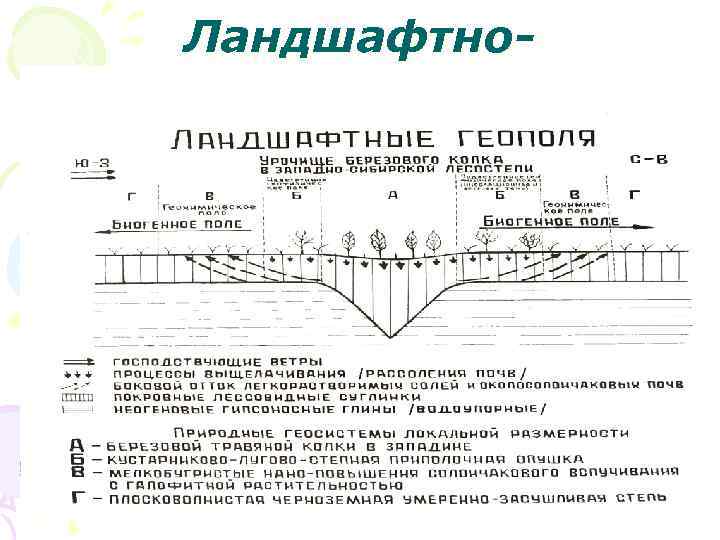 Ландшафтногеографическое поле. 