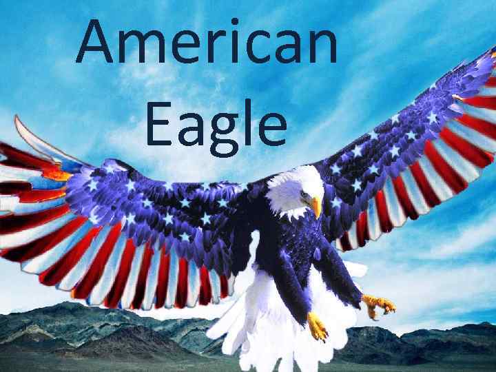 American Eagle 