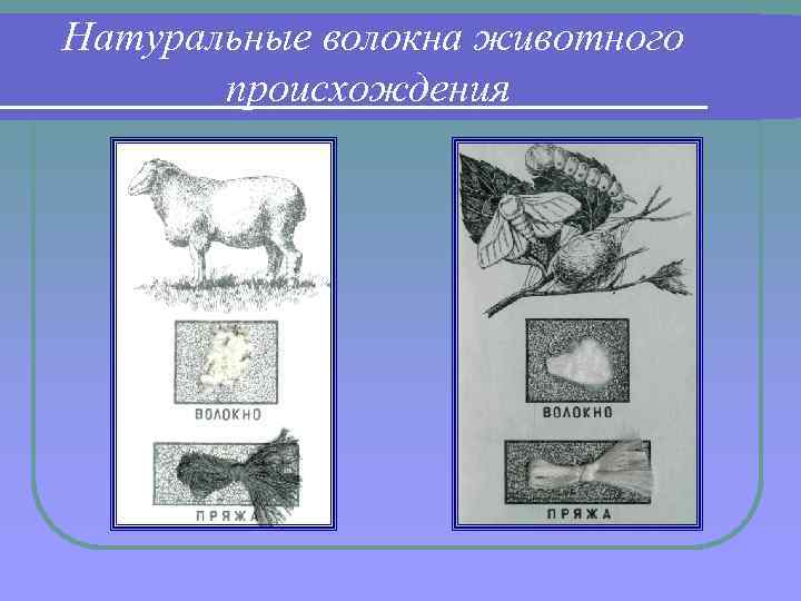 Натуральные волокна животного происхождения 