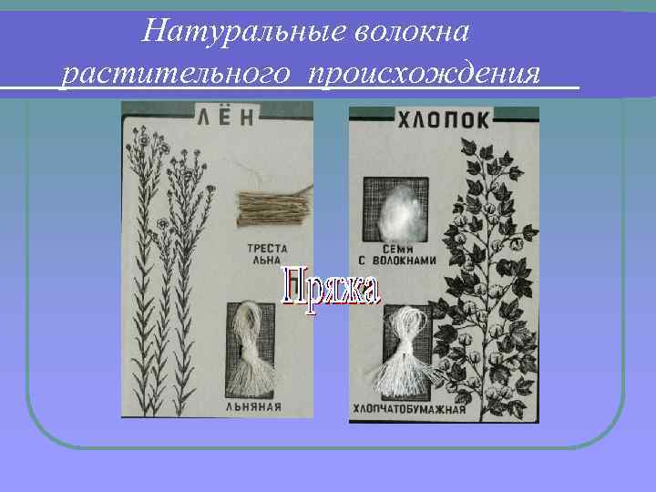 Натуральные волокна растительного происхождения 