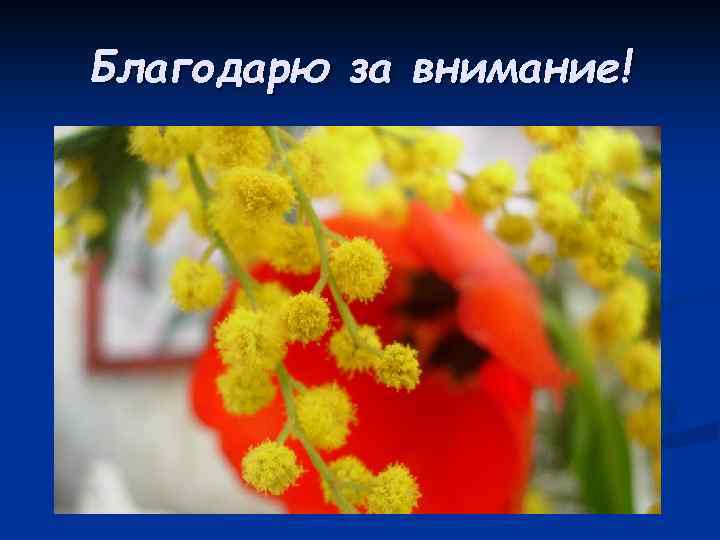 Благодарю за внимание! 