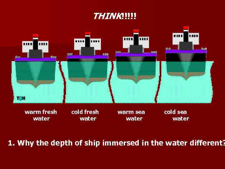 THINK!!!!! warm fresh water cold fresh water warm sea water cold sea water 1.