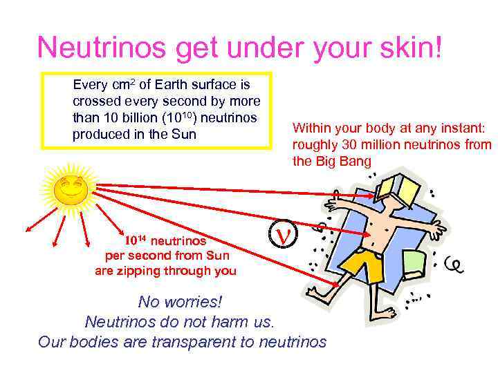 Neutrinos get under your skin! Every cm 2 of Earth surface is crossed every