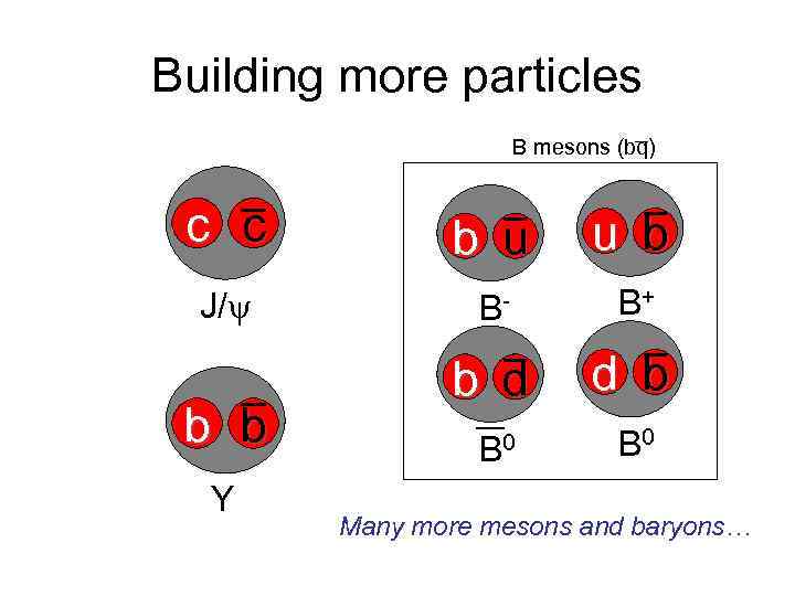 Building more particles B mesons (bq) c c b u u b J/y B-