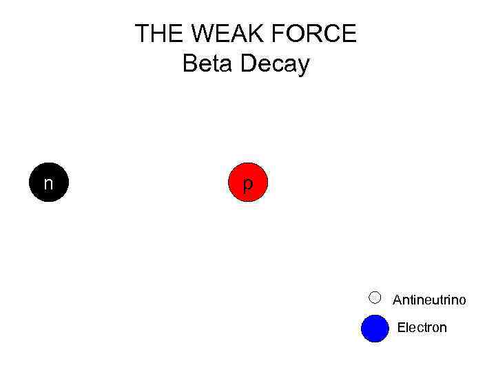 THE WEAK FORCE Beta Decay n p Antineutrino Electron 