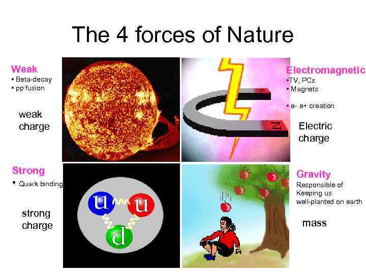 The 4 forces of Nature Weak • Beta-decay • pp fusion weak charge Electromagnetic