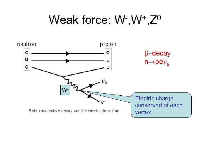 Weak force: W-, W+, Z 0 b-decay n→pe e WElectric charge conserved at each