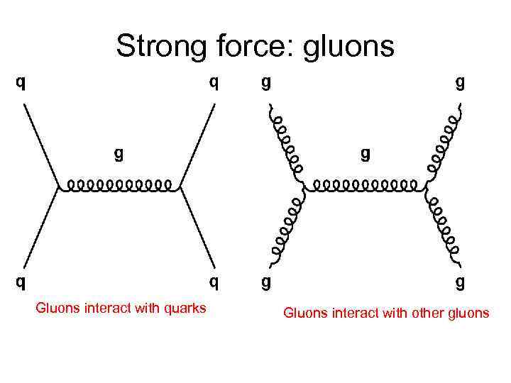 Strong force: gluons Gluons interact with quarks Gluons interact with other gluons 