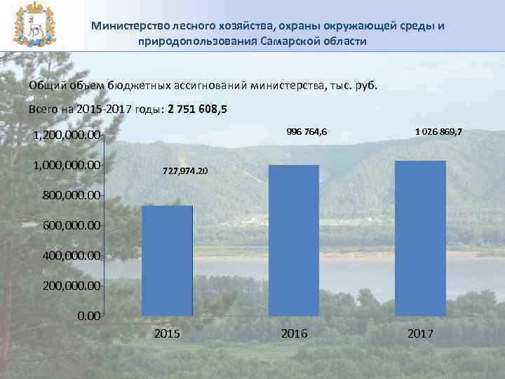 Проблемы лесного комплекса до 2030