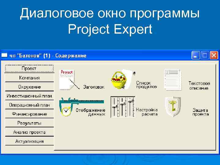 Диалоговое окно программы Project Expert 