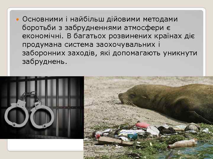  Основними і найбільш дійовими методами боротьби з забрудненнями атмосфери є економічні. В багатьох