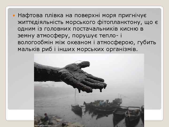  Нафтова плівка на поверхні моря пригнічує життєдіяльність морського фітопланктону, що є одним із