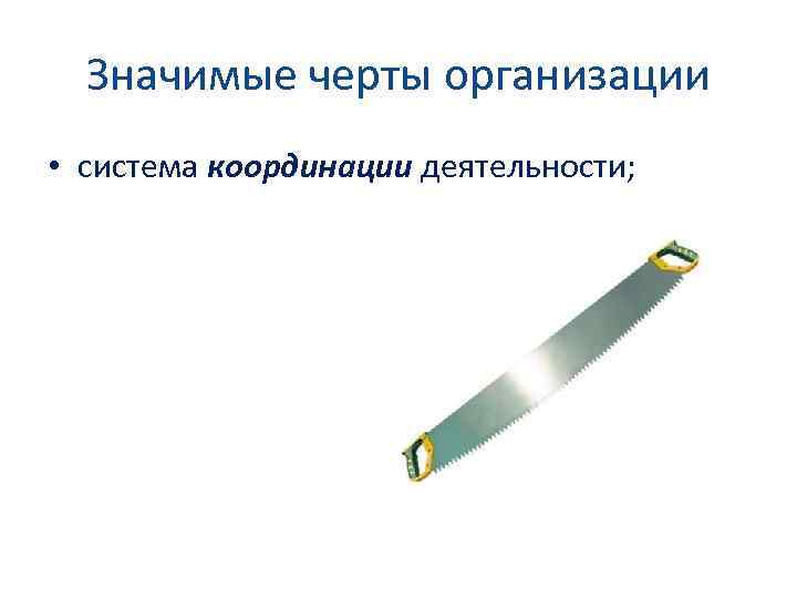 Значимые черты организации • система координации деятельности; 