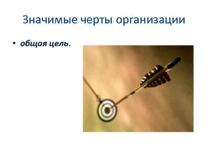 Значимые черты организации • общая цель. 