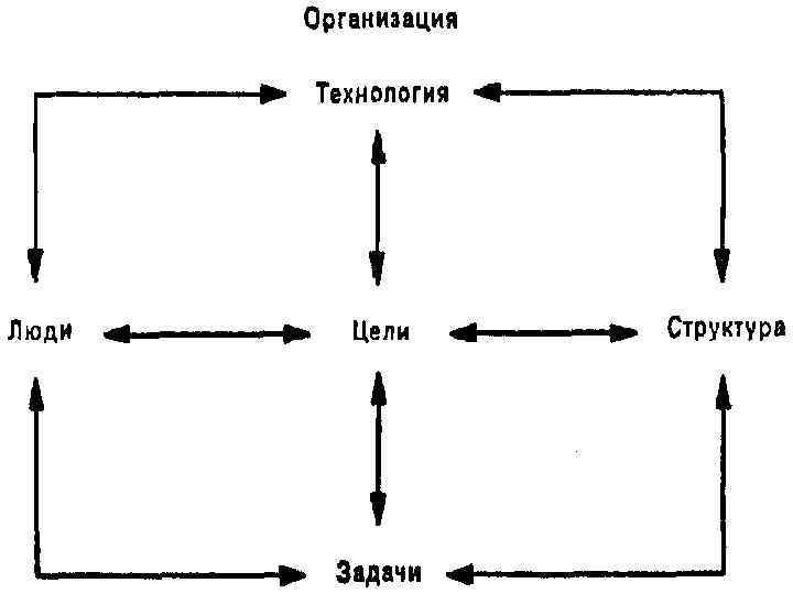 ОРГАНИЗАЦИЯ Группа людей, деятельность которых сознательно координируется для достижения общей цели и целей. 