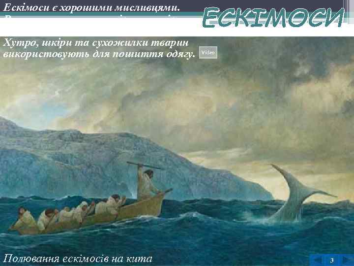 Ескімоси є хорошими мисливцями. Вони полюють на китів, тюленів, моржів, білих ведмедів, вівцебиків. Хутро,