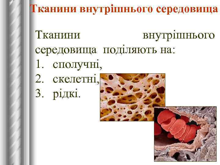 Тканини внутрішнього середовища поділяють на: 1. сполучні, 2. скелетні, 3. рідкі. 