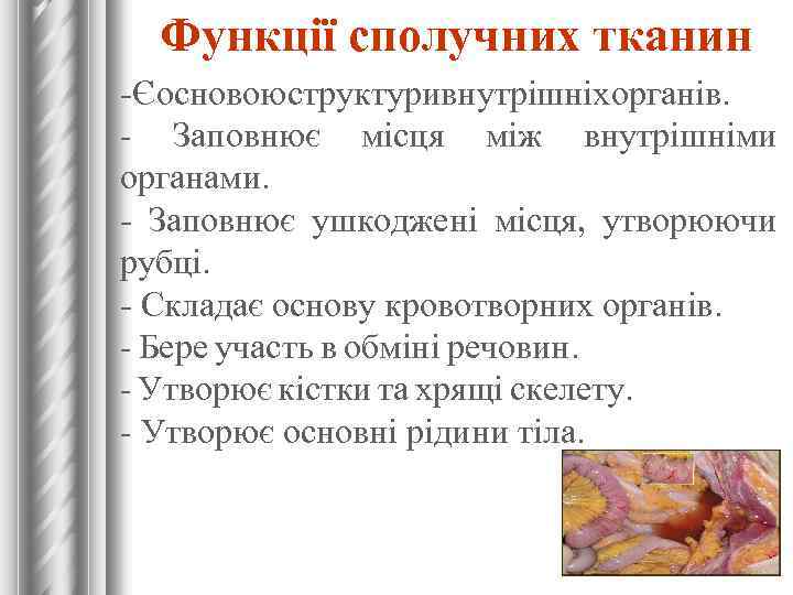 Функції сполучних тканин -Єосновоюструктуривнутрішніхорганів. - Заповнює місця між внутрішніми органами. - Заповнює ушкоджені місця,