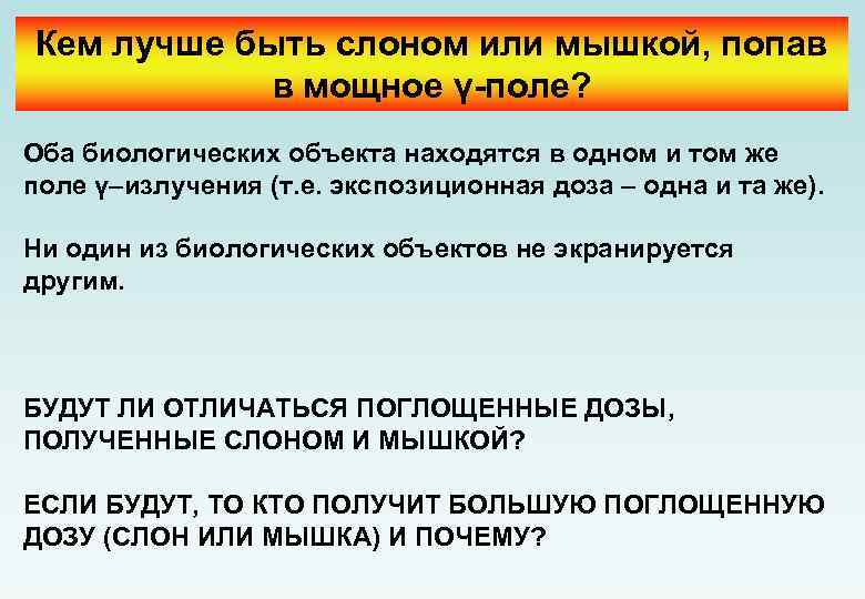 Кем лучше быть слоном или мышкой, попав в мощное γ-поле? Оба биологических объекта находятся