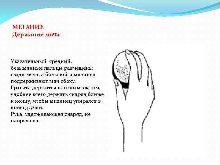 МЕТАНИЕ Держание мяча Указательный, средний, безымянные пальцы размещены сзади мяча, а большой и мизинец