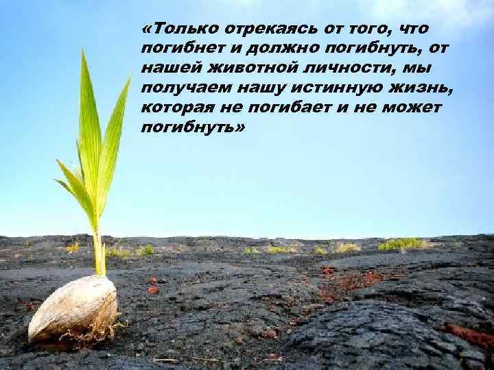  «Только отрекаясь от того, что погибнет и должно погибнуть, от нашей животной личности,