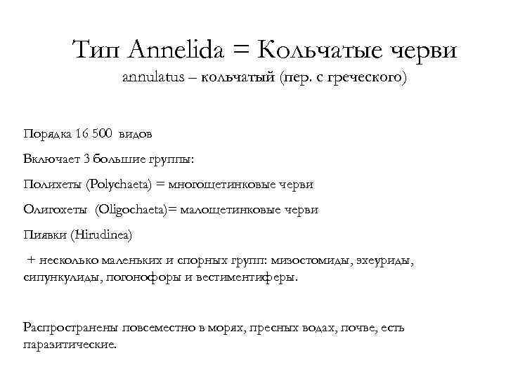 Тип Annelida = Кольчатые черви annulatus – кольчатый (пер. с греческого) Порядка 16 500