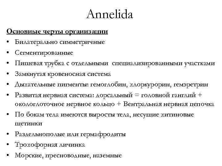 Annelida Основные черты организации • Билатерально симметричные • Сегментированные • Пищевая трубка с отдельными