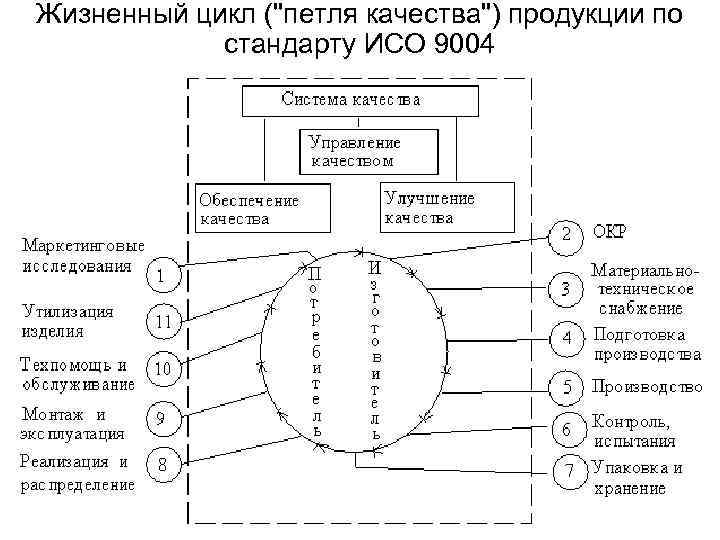 Жизненный цикл (