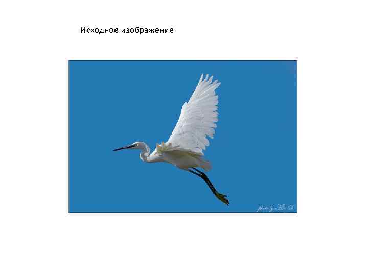 Исходное изображение 