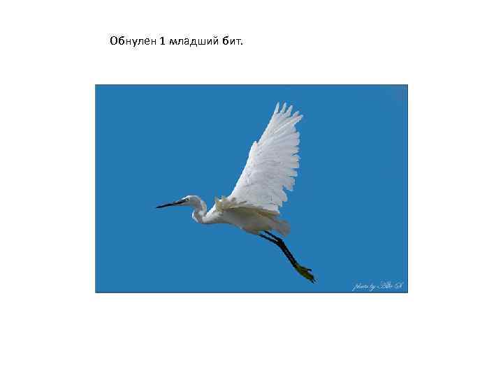 Обнулен 1 младший бит. 