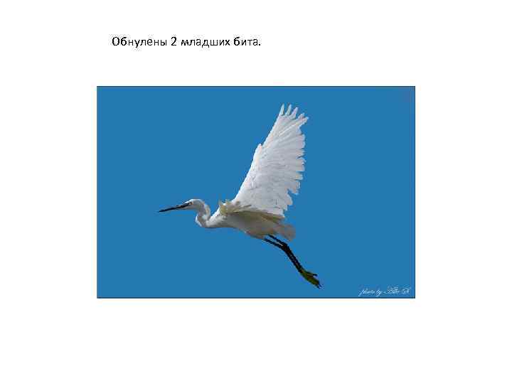 Обнулены 2 младших бита. 