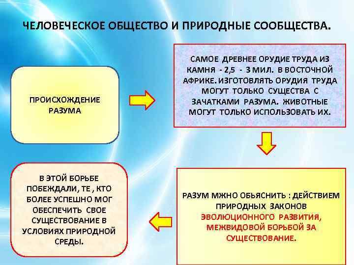 ЧЕЛОВЕЧЕСКОЕ ОБЩЕСТВО И ПРИРОДНЫЕ СООБЩЕСТВА. ПРОИСХОЖДЕНИЕ РАЗУМА В ЭТОЙ БОРЬБЕ ПОБЕЖДАЛИ, ТЕ , КТО