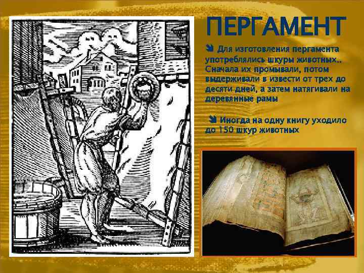 ПЕРГАМЕНТ Для изготовления пергамента употреблялись шкуры животных. . Сначала их промывали, потом выдерживали в